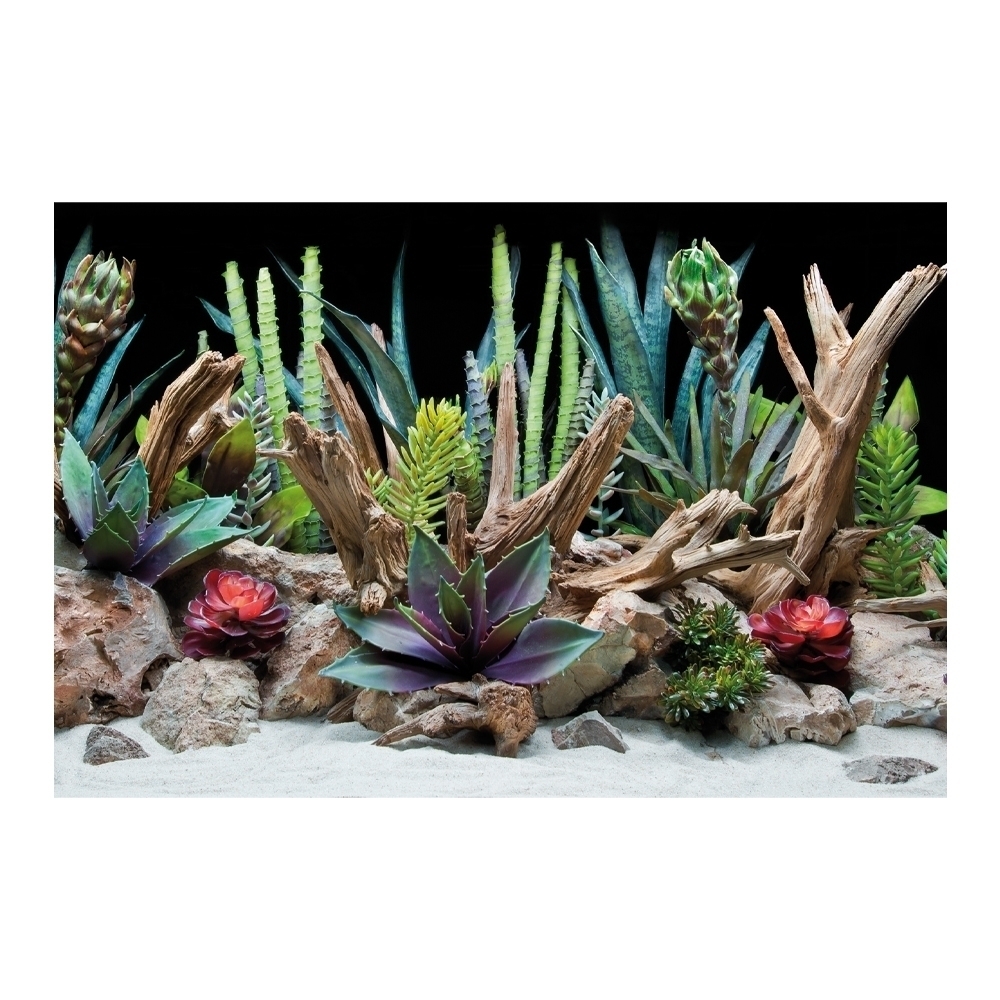 AMTRA SFONDO DOPPIO FLORA BLISTER 30×60 cm - immagine 3