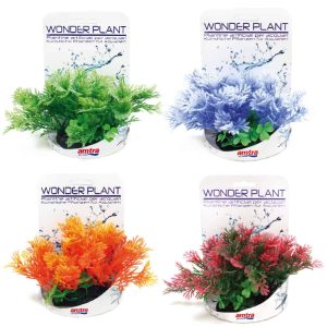 AMTRA WONDER PLANT SERIES “F” 13 cm