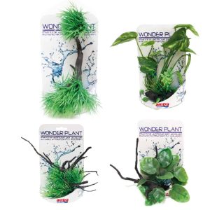 AMTRA WONDER PLANT SERIES “G” 20-25 cm