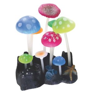 AMTRA FLUO REEF MUSHROOMS