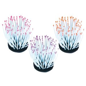 AMTRA FLUO REEF ANEMONE MIX