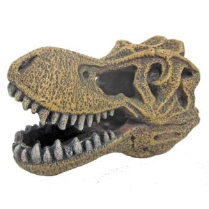 AMTRA TESCHIO DI T-REX