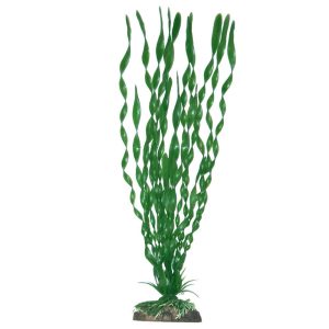 AMTRA PLANT CLASSIC VALISNERIA MAJOR