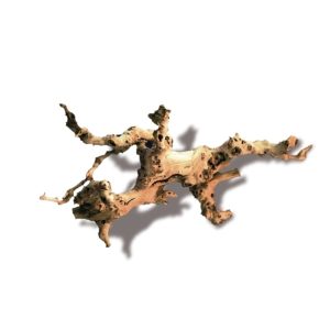 AMTRA LEGNO DI VITE SCORTECCIATO