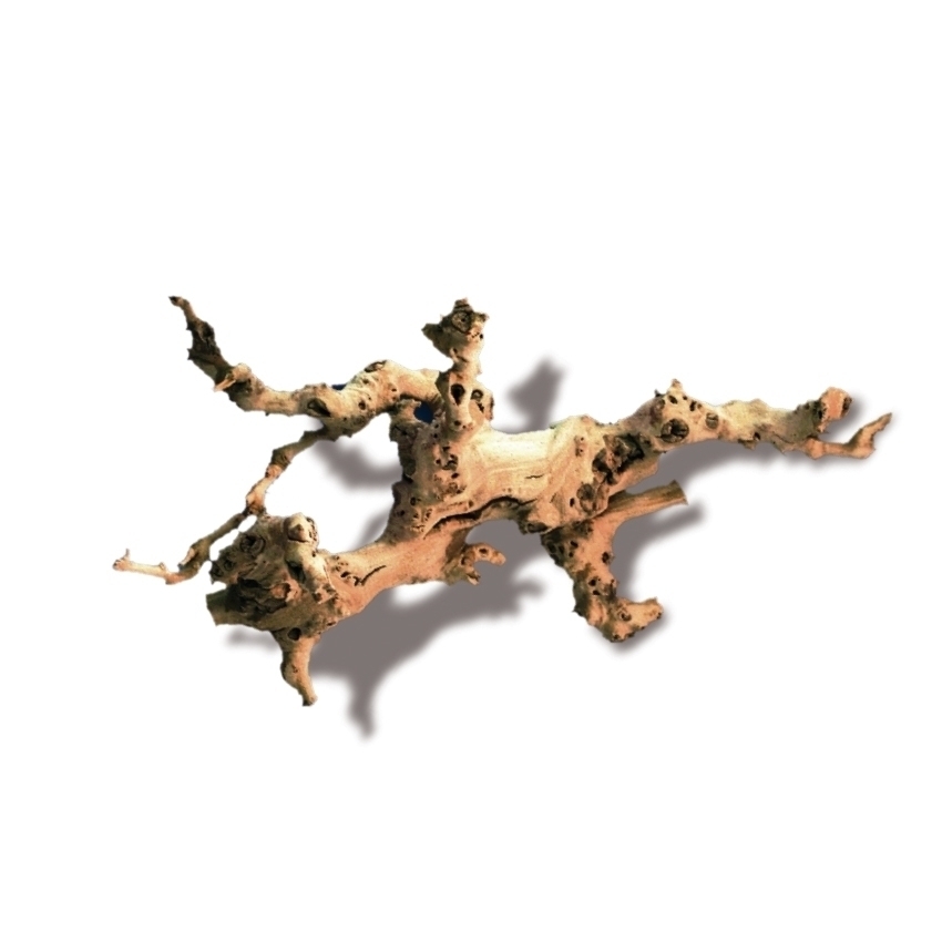 AMTRA LEGNO DI VITE SCORTECCIATO - immagine 2