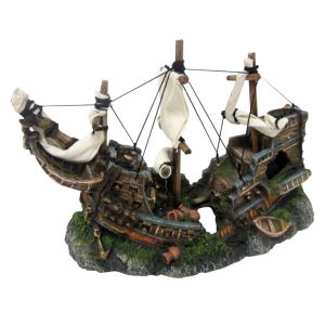 AMTRA RELITTO SU ROCCE