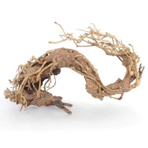 AMTRA ORIENTAL WIND 2