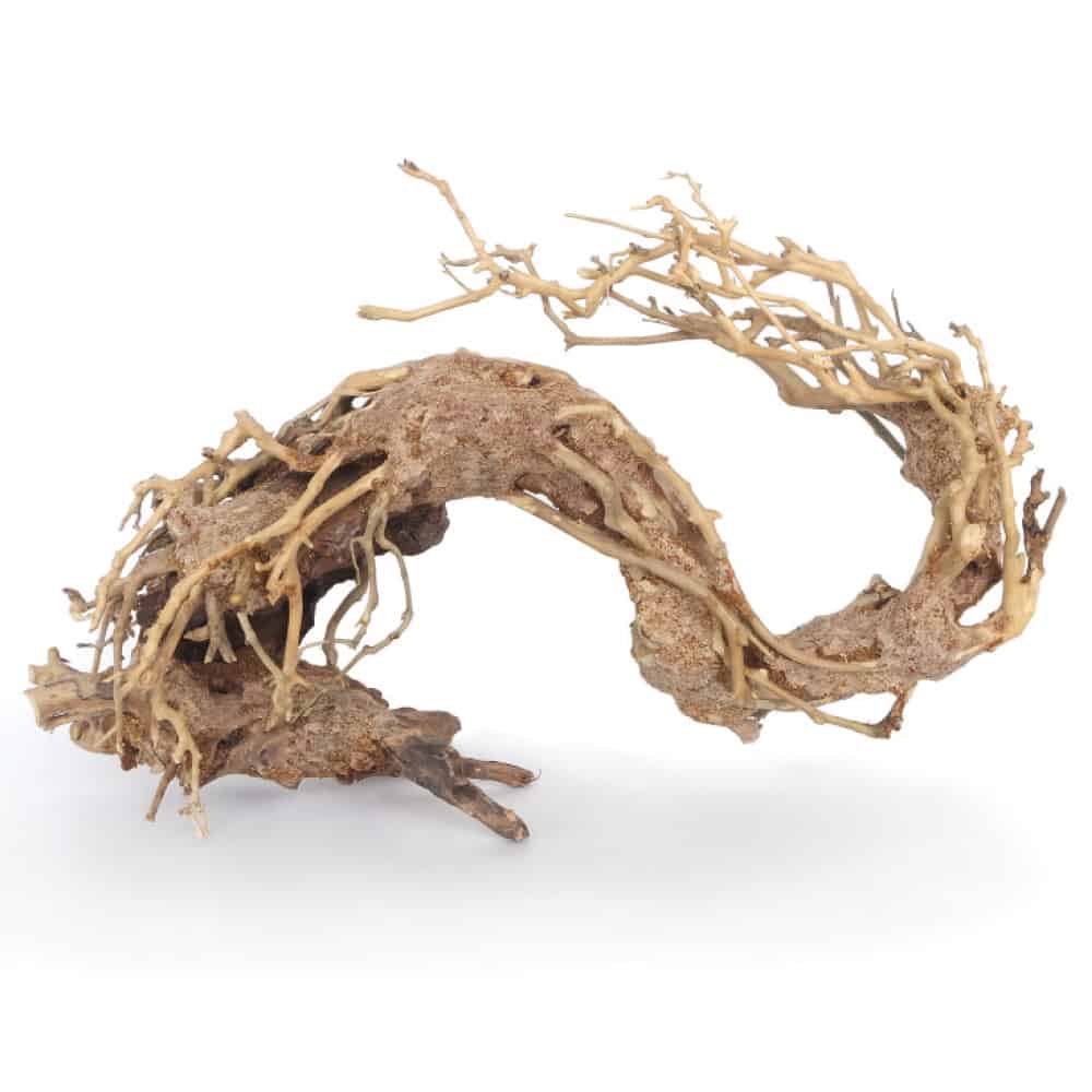 AMTRA ORIENTAL WIND 2 - immagine 2