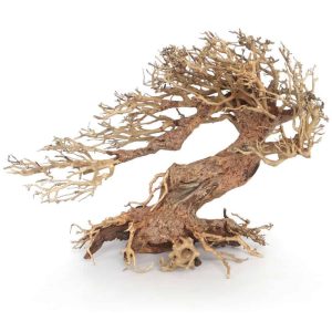 AMTRA ORIENTAL WIND 3