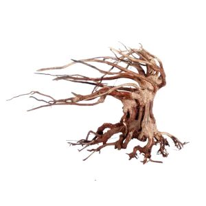 AMTRA ORIENTAL WIND 6