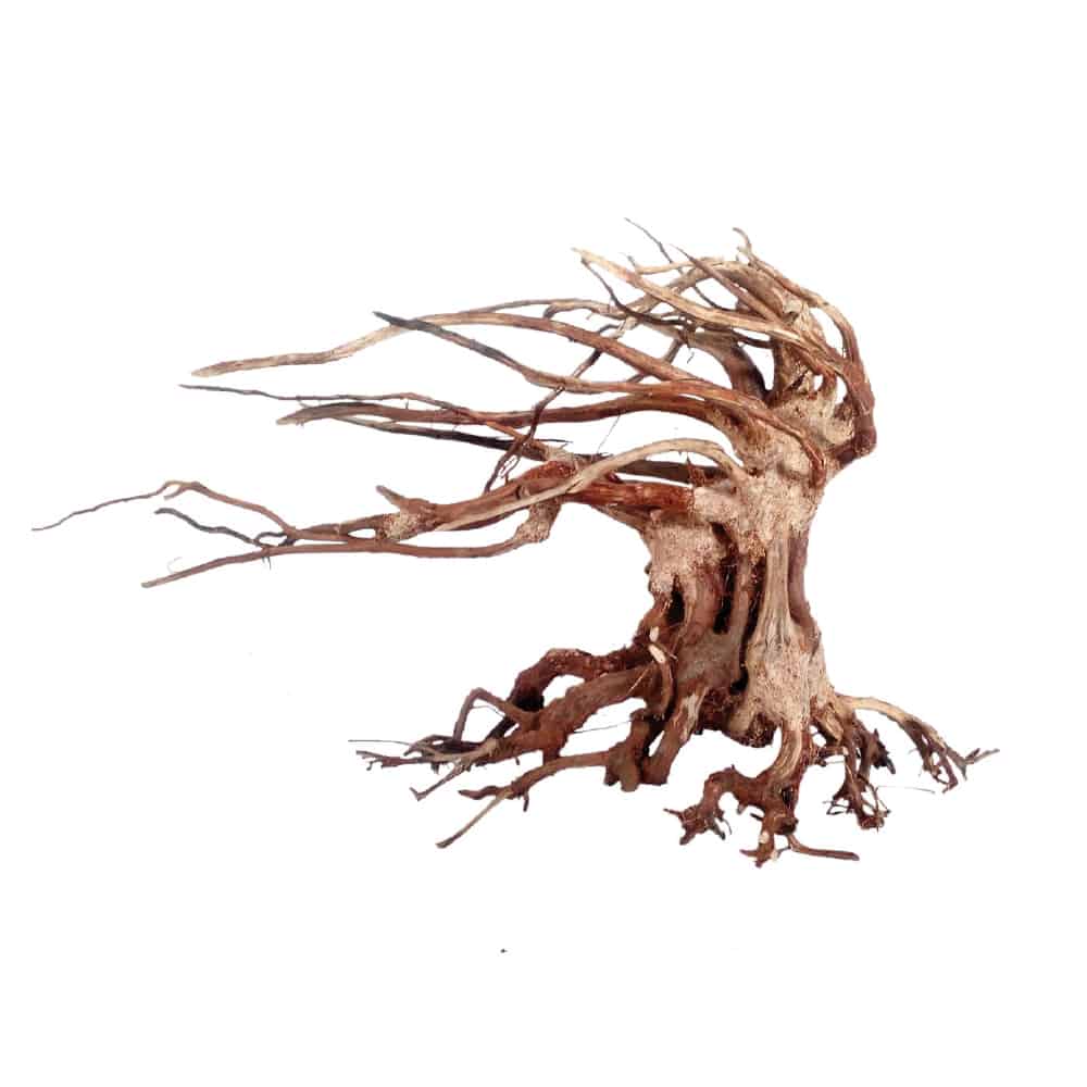 AMTRA ORIENTAL WIND 6