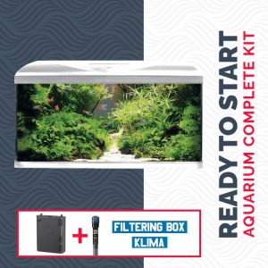 ACQUARIO AMTRA SYSTEM TANK V2 80 LED CON FILTRO BOX 150 E RISCALDATORE