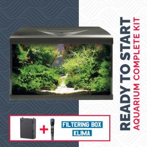 ACQUARIO AMTRA SYSTEM TANK V2 60 LED CON FILTRO BOX 150 E RISCALDATORE
