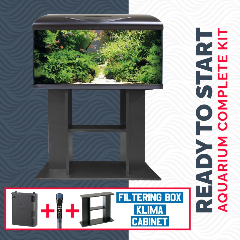 ACQUARIO AMTRA SYSTEM TANK V2 80 LED CON FILTRO BOX 150 RISCALDATORE E MOBILE - immagine 3