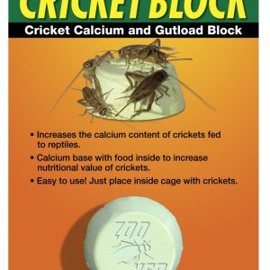 ZOOMED CRICKET BLOCK
