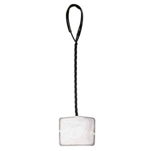 AMTRA RETINO PER AVANNOTTI