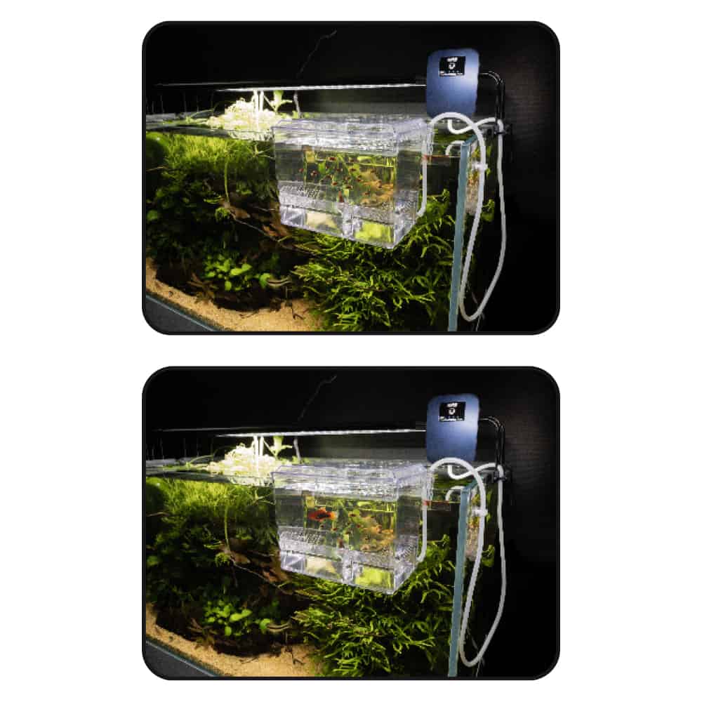 AMTRA SALA PARTO ESTERNA - immagine 4