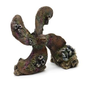 DECORAZIONI PER ACQUARIO AMTRA – ELICA AFFONDATA