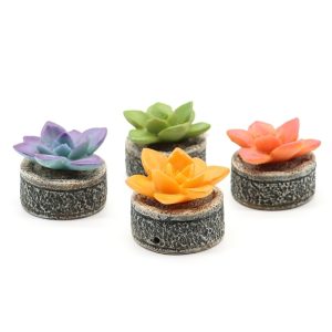 DECORAZIONI PER ACQUARIO AMTRA – SUCCULENT COLORI ASSORTITI