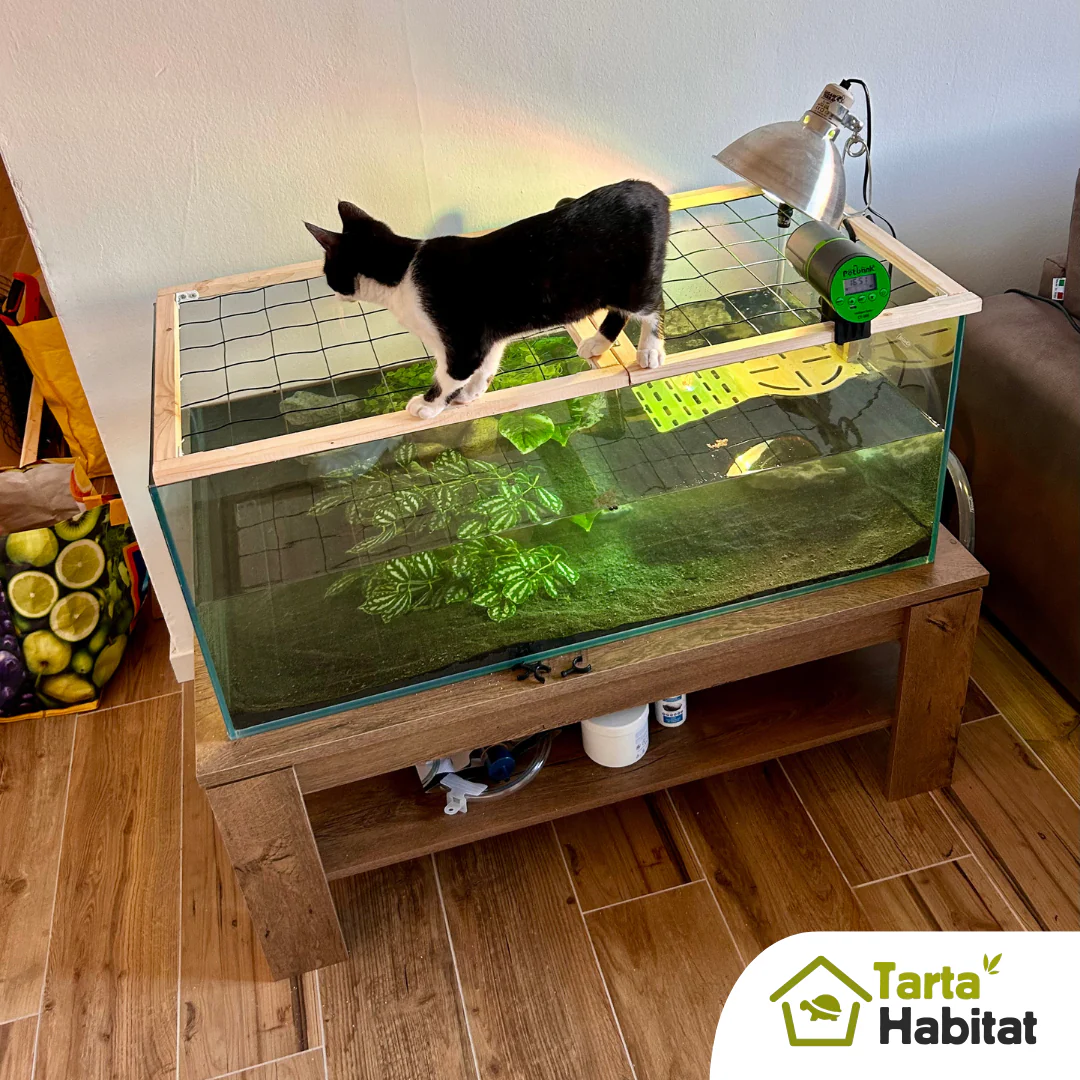 Tarta Habitat Acquario per tartarughe d'acqua 100x50x40/50 h cm - immagine 8