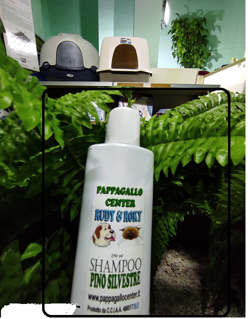 SHAMPOO CANI E GATTI LINEA ROKY 250ML PROFUMAZIONE PINO SILVESTRE