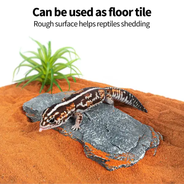 Muti-fonction Slate Stones REPTIZOO - 7 pcs - immagine 8