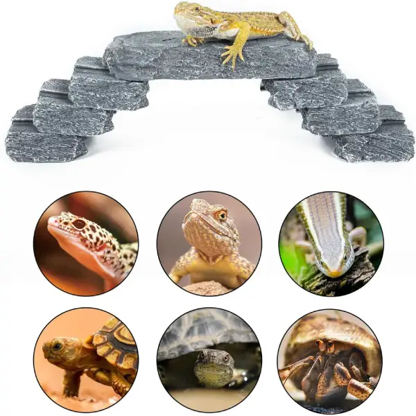 Muti-fonction Slate Stones REPTIZOO - 7 pcs - immagine 9