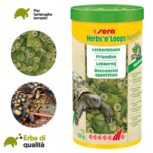 Mix di erbe d campo per tartarughe terrestri