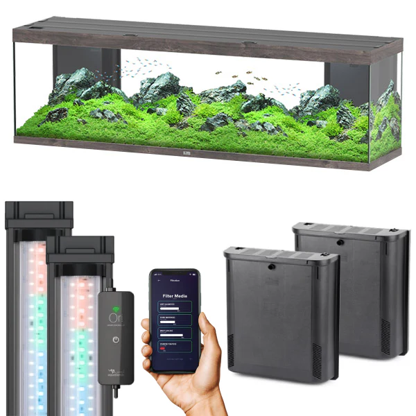 Splendid Ultra 200 AQUATLANTIS Chêne Sauvage - Aquarium Equipé 500 L - immagine 3