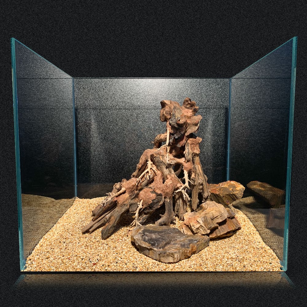 AMTRA ORIENTAL WIND 1 - immagine 3