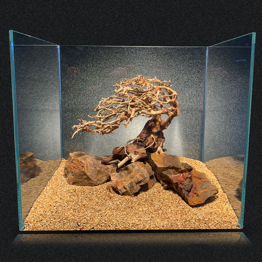 AMTRA ORIENTAL WIND 3 - immagine 3