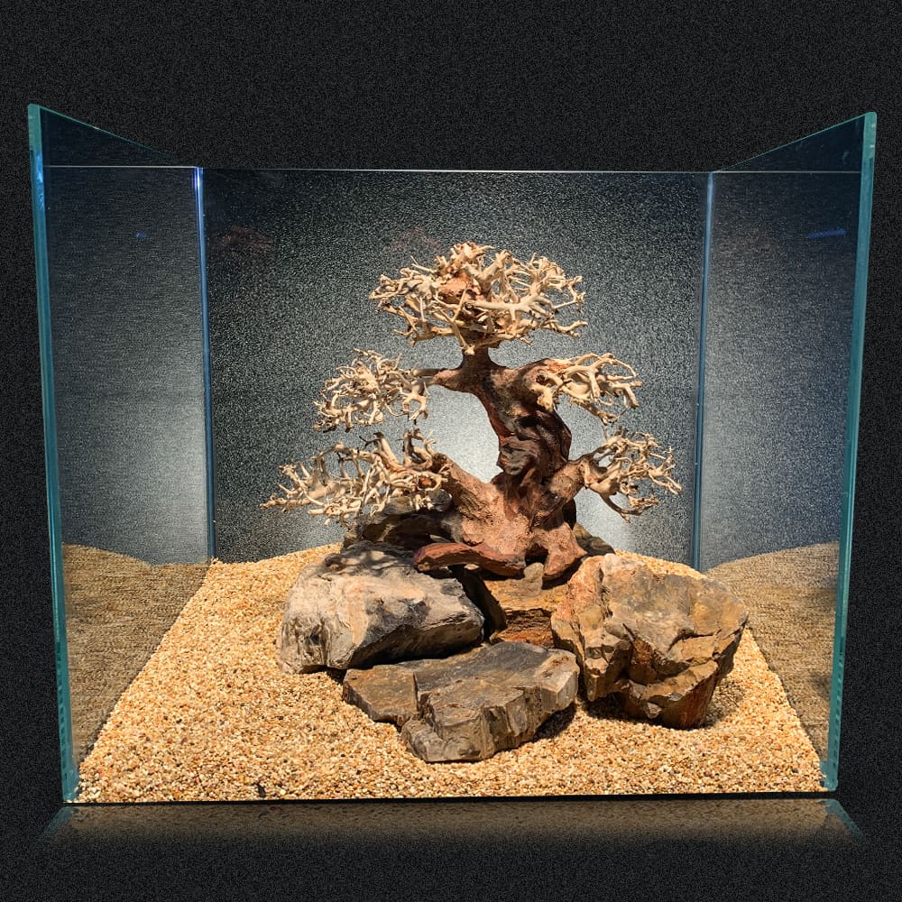 AMTRA ORIENTAL WIND 4 - immagine 3