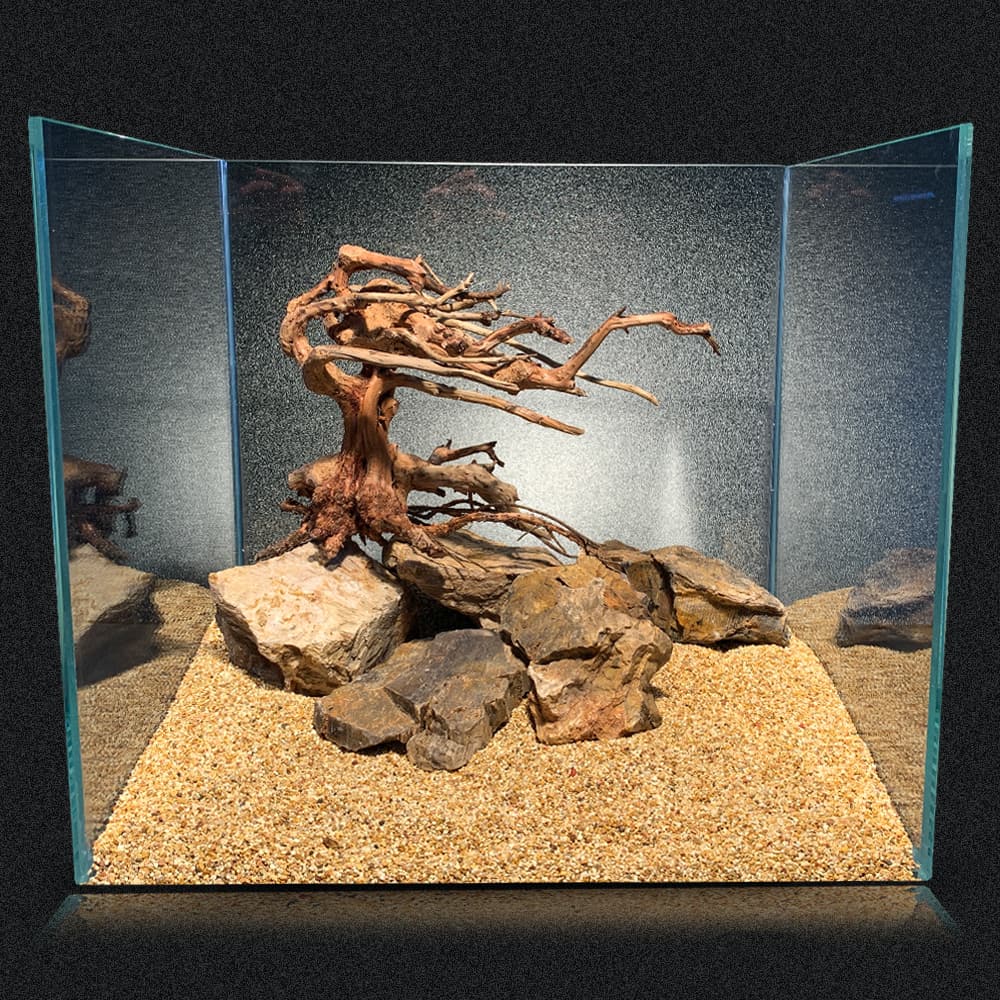 AMTRA ORIENTAL WIND 6 - immagine 3