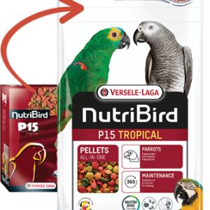 NEW Nutribird P15 Tropical 1kg PAPPAGALLI TG L /XL