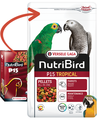 NEW Nutribird P15 Tropical 1kg PAPPAGALLI TG L /XL