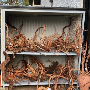 Radici “DRAGON SKIN “