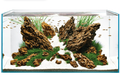 ACQUARI Oase in EXTRACHIARO - immagine 9