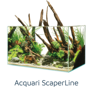 ACQUARI Oase in EXTRACHIARO