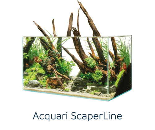 ACQUARI Oase in EXTRACHIARO - immagine 3