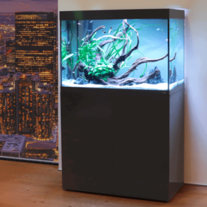 ACQUARI AMTRA Alux led