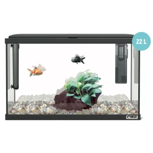 Sicce Moby Dick 40 nero