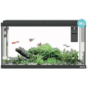 Sicce Moby Dick 60 nero