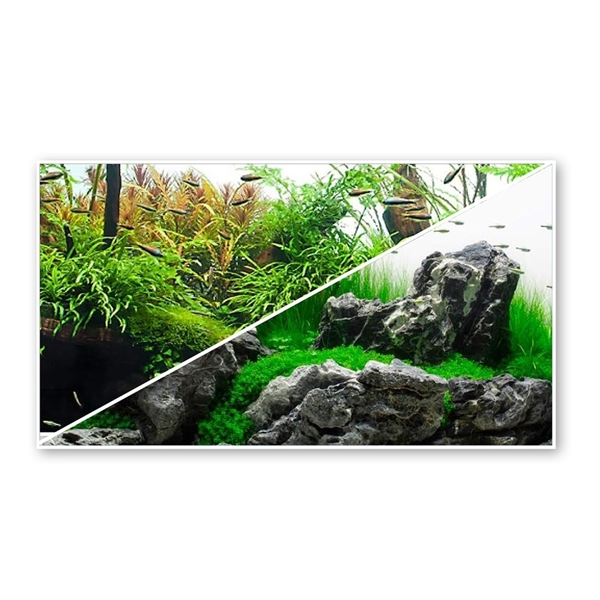 SFONDO PER ACQUARIO – AMTRA AMAZONIA