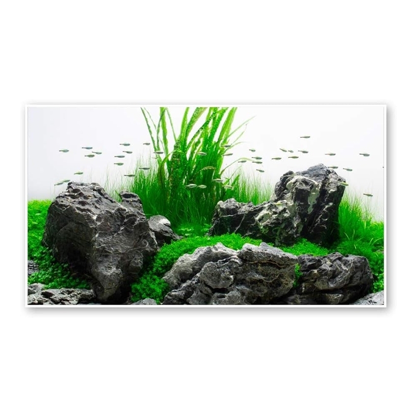 SFONDO PER ACQUARIO – AMTRA AMAZONIA - immagine 5