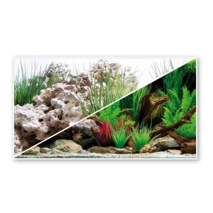 SFONDO PER ACQUARIO – AMTRA WONDER