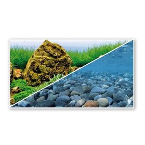 SFONDO PER ACQUARIO – AMTRA VISION