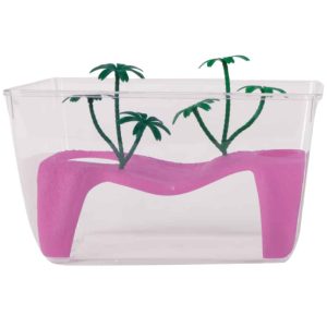 AMTRA TARTARUGHIERA PROCIDA