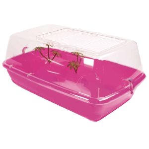 AMTRA TARTARUGHIERA PANAREA