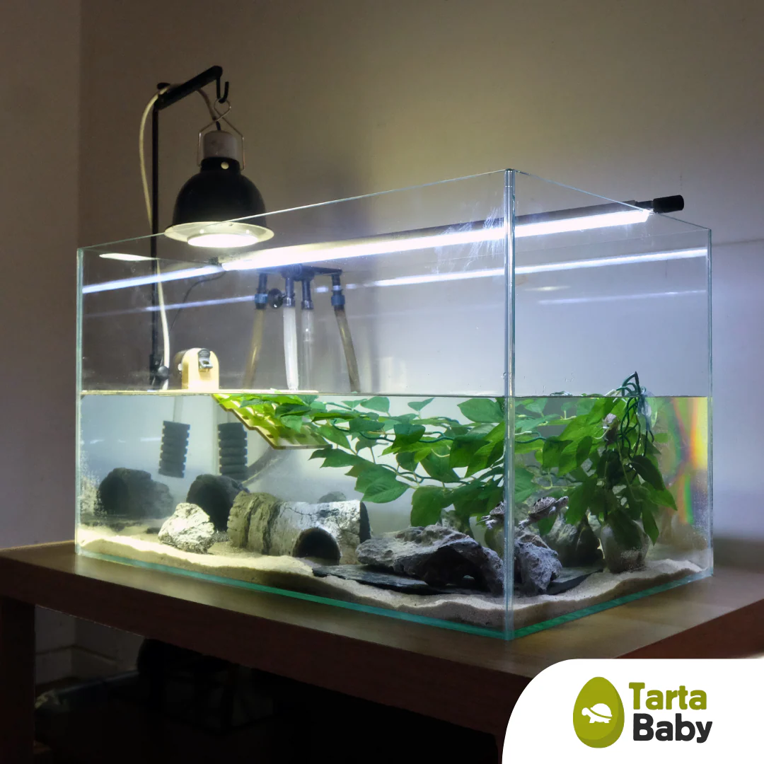 TartaBaby acquario per tartarughe 70x40x40 h cm - immagine 2