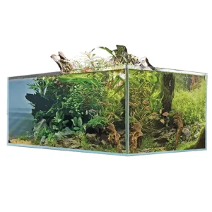 AMTRA SHALLOW 75x50x30